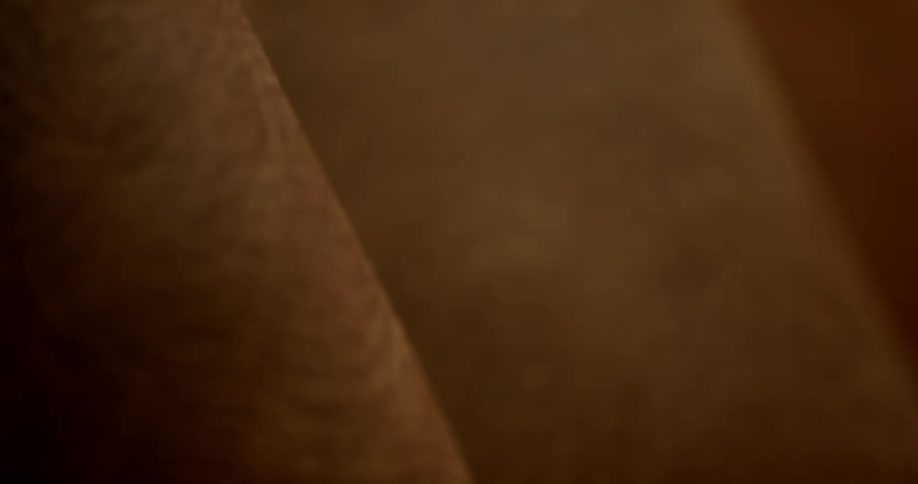 Brown leather hangs motionless