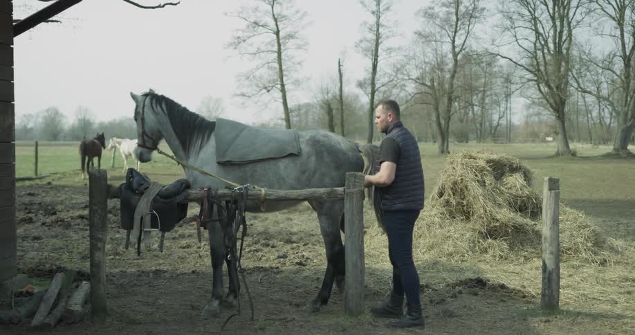 A man is putting a blanket on a horse