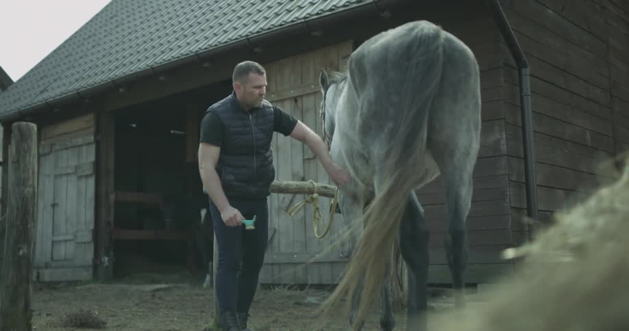 Horse Stables