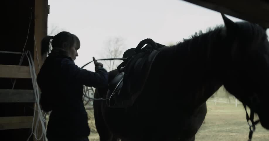 A woman puts a saddle on a horse