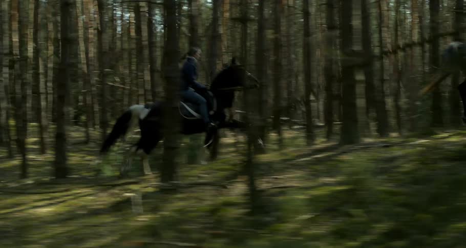 A man and woman riding horses through a forest