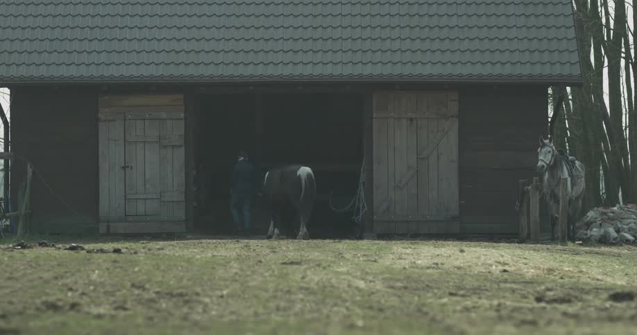 A person leading a horse to a barn