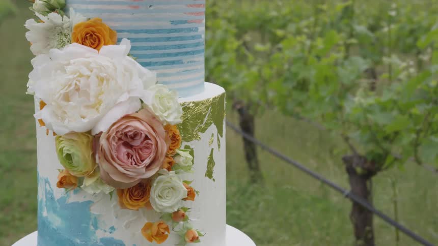 A large cake sits by the vineyard