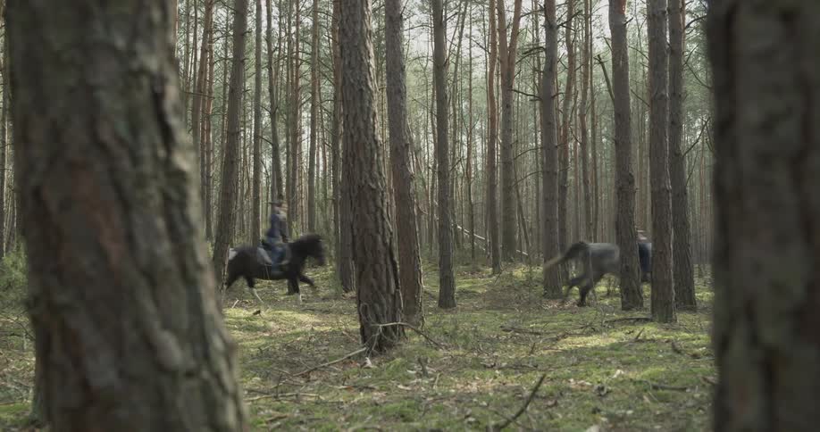 Two people ride galloping horses through the woods