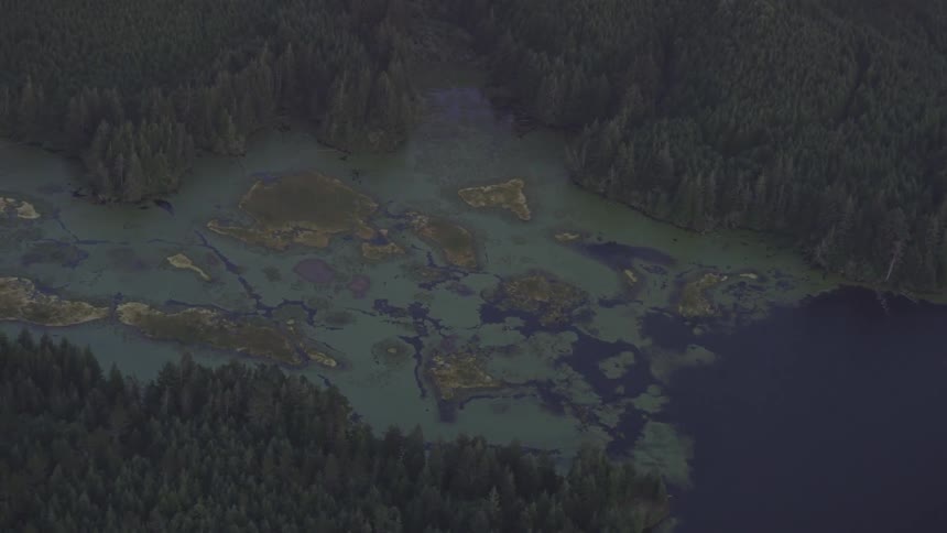 Aerial view of a river inlet