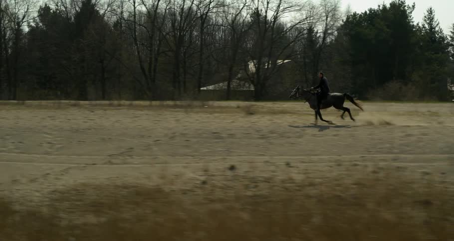 A horse is running along side the water edge