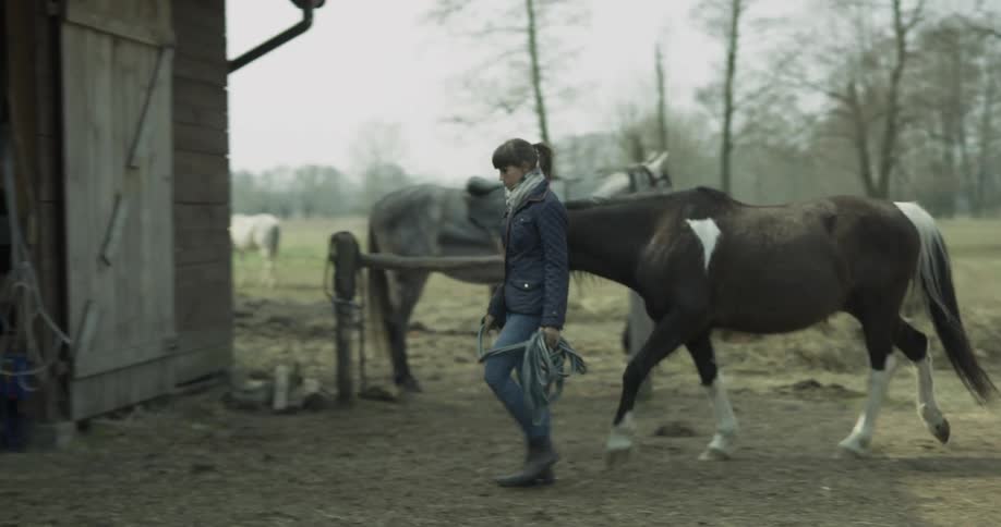 A woman walks a horse into the barn