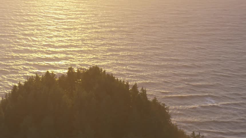 Sun shines over trees and a large body of water