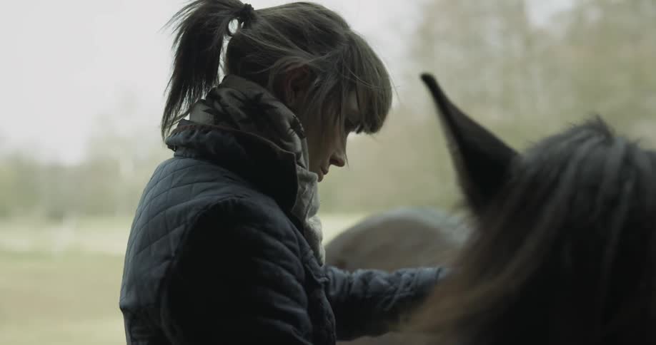 A woman brushing her horse