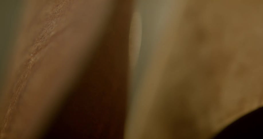 Sheets of leather hang under a light