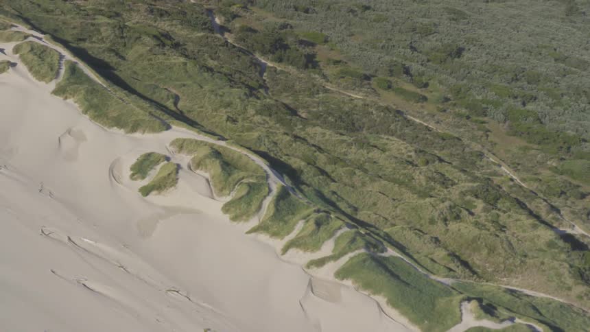 Swirling sand meets with a vast area of grass