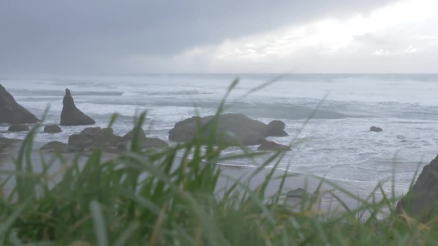 Grass flows freely near the open water