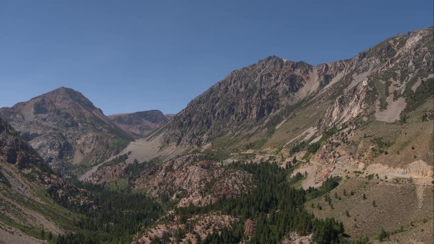 There are trees on the mountainside