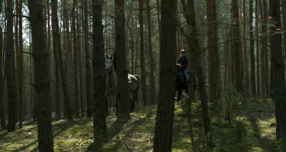 Two people are riding horses in the forest