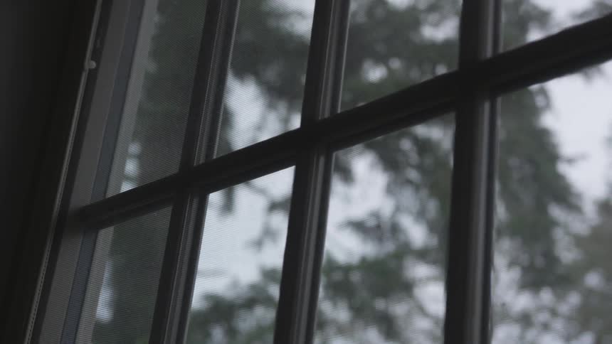 A view out a window to some trees