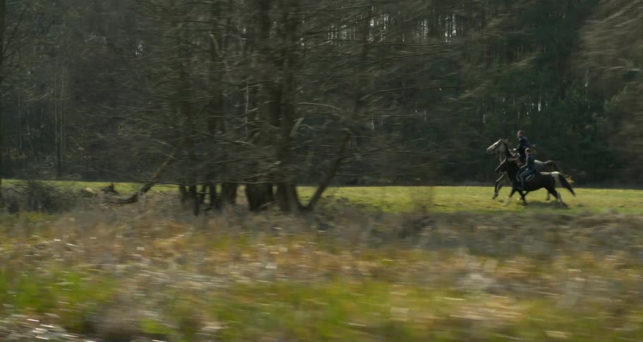 Two people are riding horses in the forest