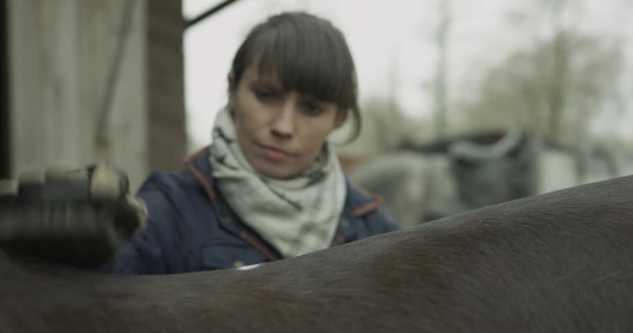 A woman is brushing a horse outdoors