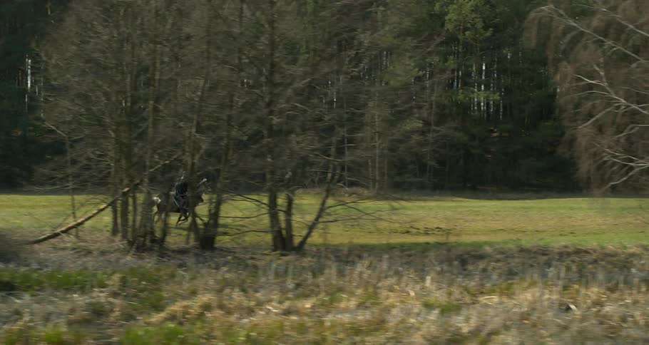 Two people are riding horses in the forest