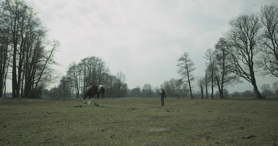 A woman stands and guides a galloping horse