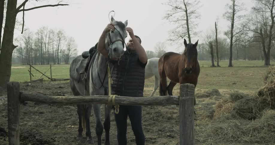 Man hitches horse to hitching post