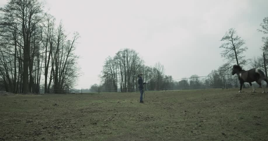 A horse is running outside in circles around a man