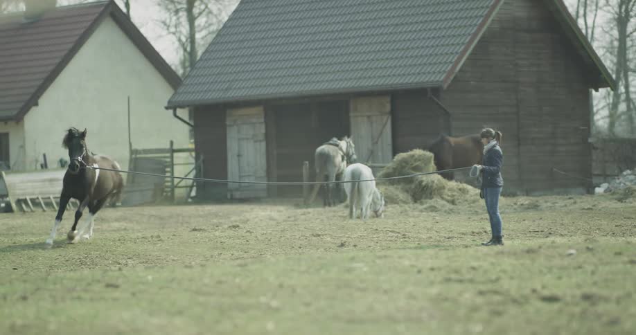 A woman has a horse on a leash while it's running