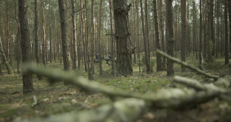 A couple rides through the forest on horses
