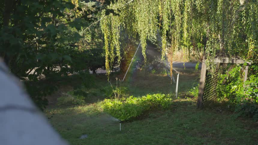 Sprinklers that are on in a field
