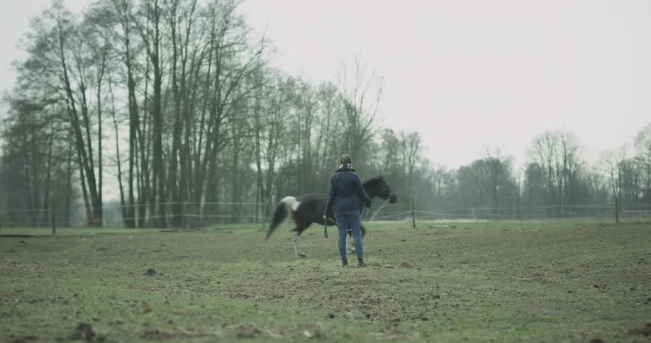A woman has a horse on a leash outside
