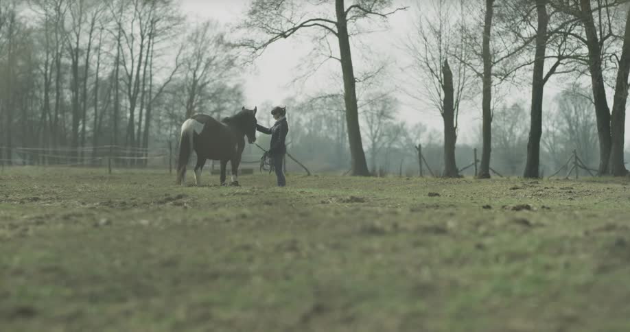 A woman is petting a horse