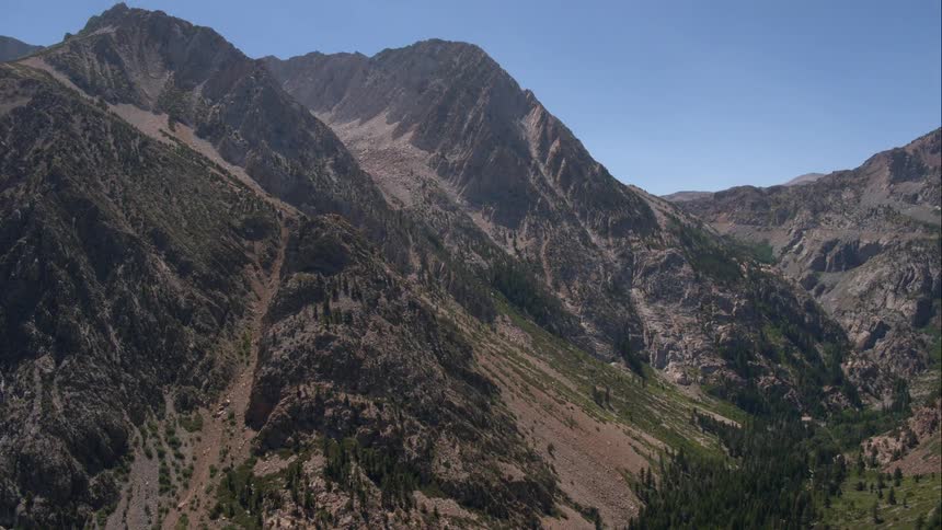 Mountain side with trees and  dirt erosion
