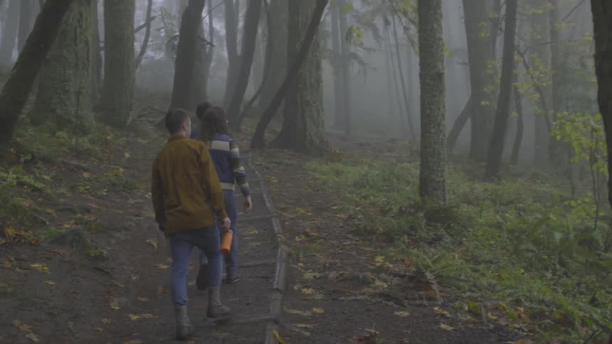 Three men walk on a trail in the woods on a foggy day
