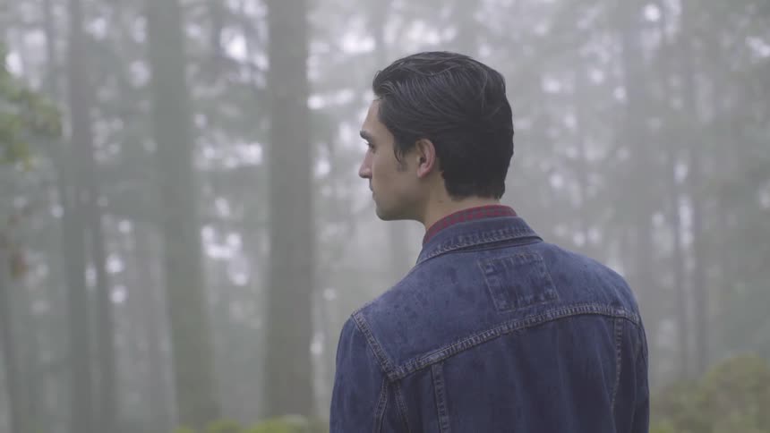 Man looks up at the foggy forest