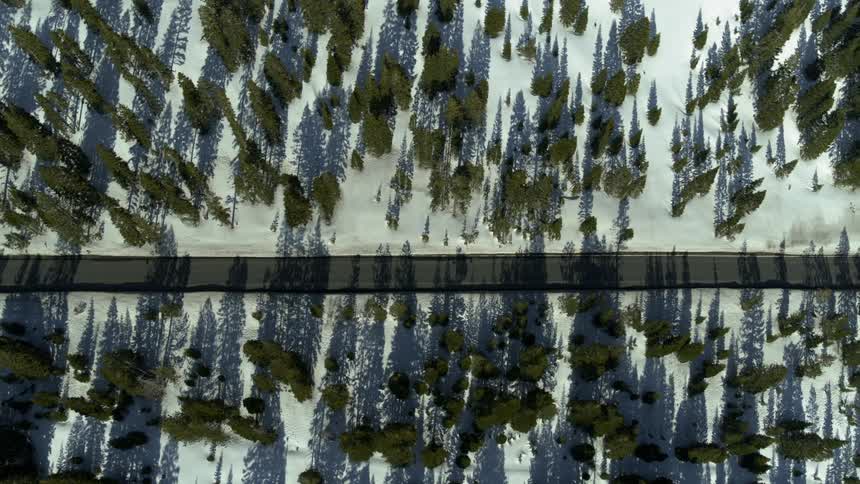 A single road in the middle of a wooded area