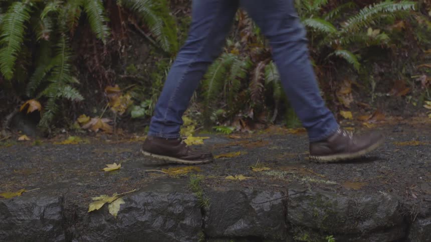 Three people walk past on trail in woods