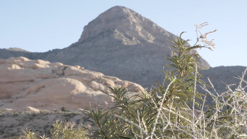 Film Shoot Of Women In Desert