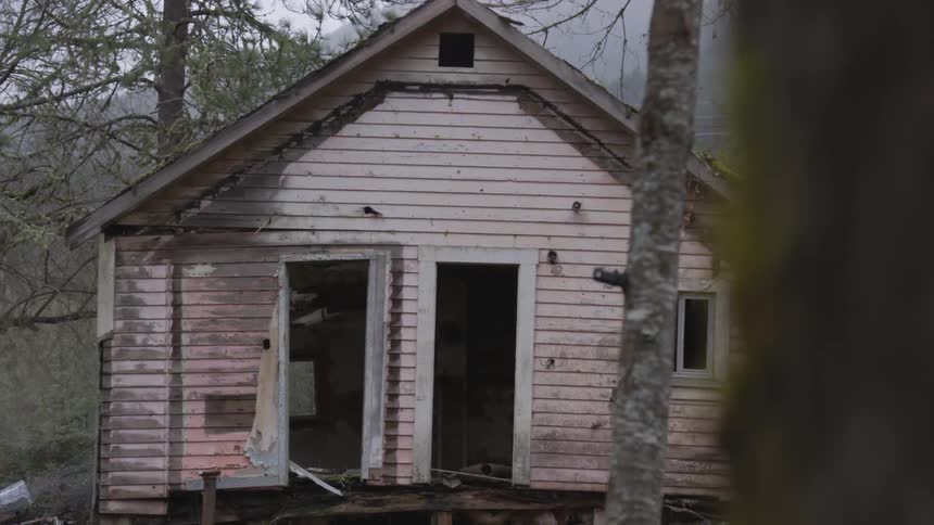 Trees stand near an abandoned house