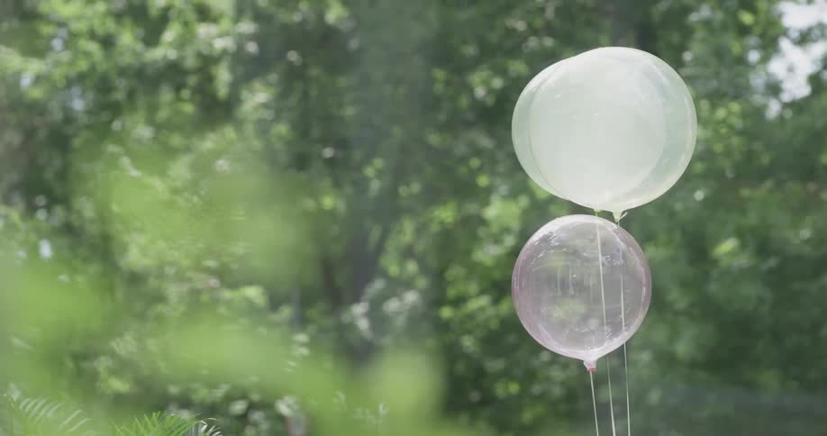 Pink and white balloons sway outdoor on sunny day