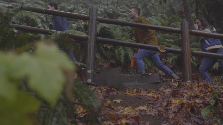 Three men walk up outdoor steps on a trail in the woods