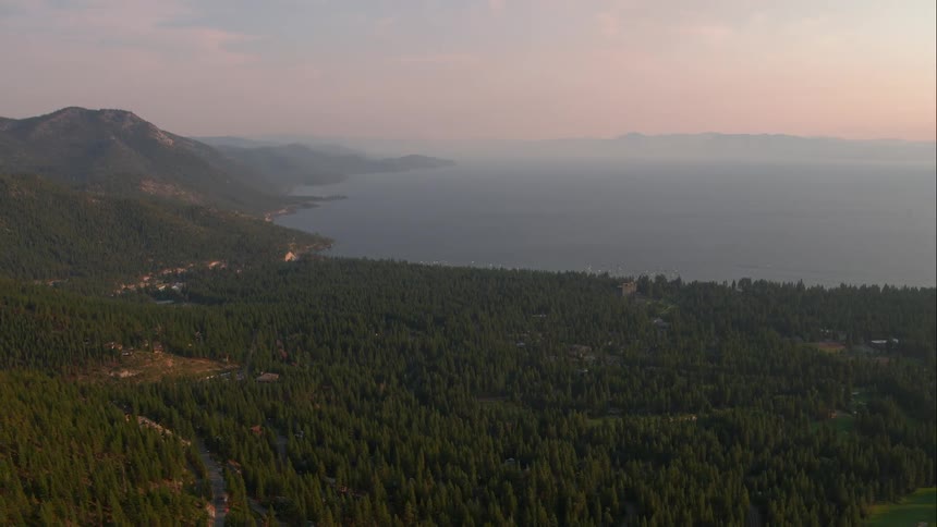 A forest that is at the edge of a lake