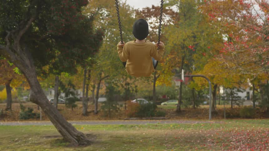 A boy plays on swings in a park in autumn