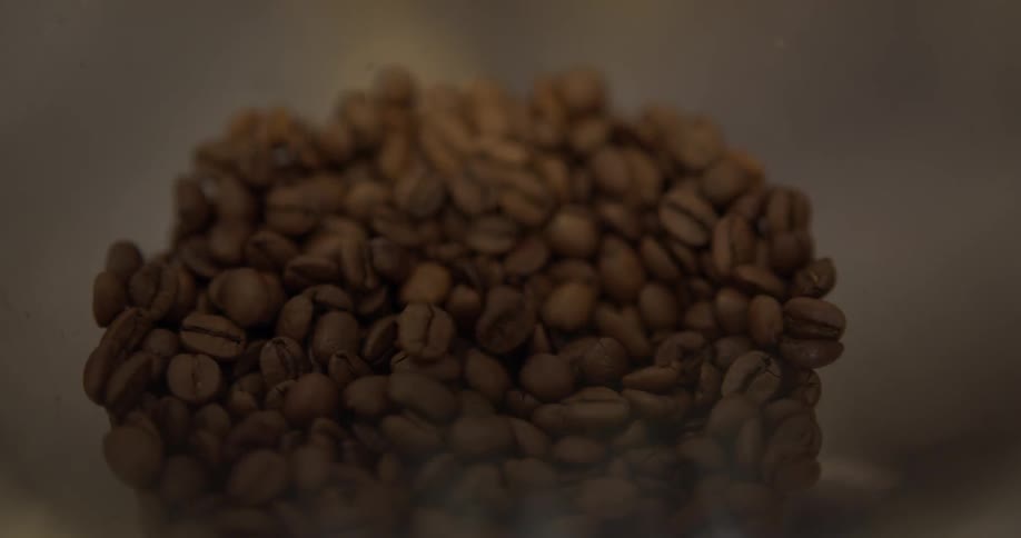 Coffee beans sitting in a blender