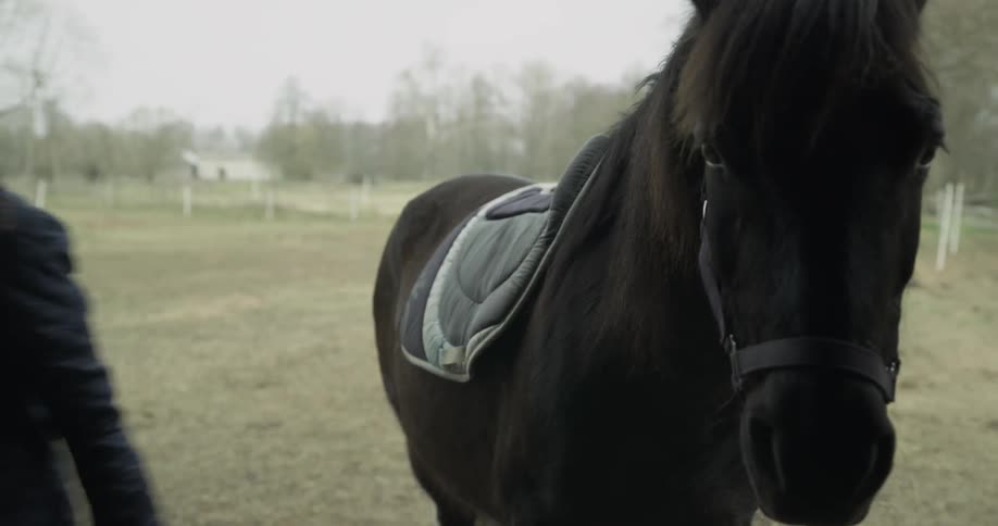 A woman is putting a saddle on a horse