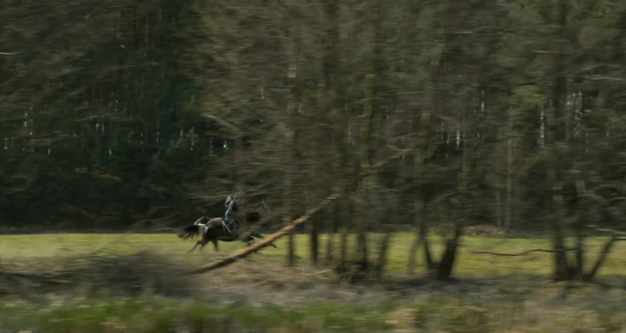 Two people ride horses near the woods