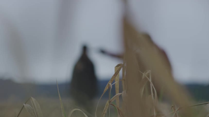 Hostage And Captor In Nature