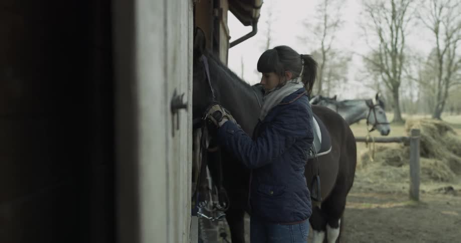 A woman is putting things on a horse