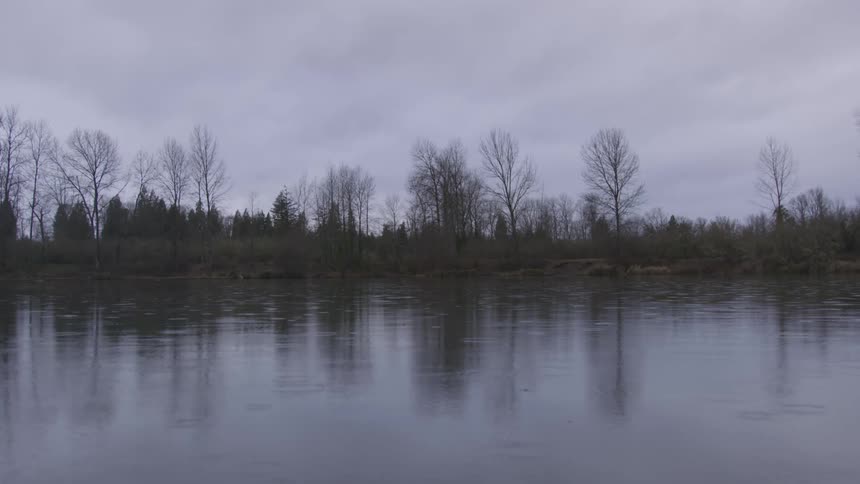Pond ripples bordered by trees under hazy sky during winter