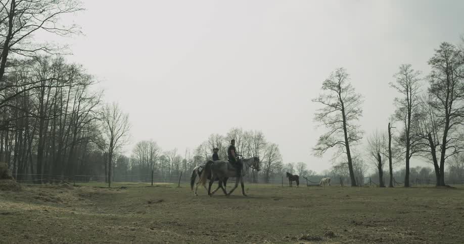 Two people ride horses in a field