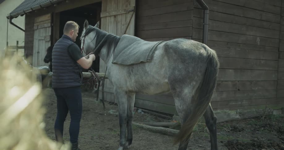 A man is by a horse outside a barn