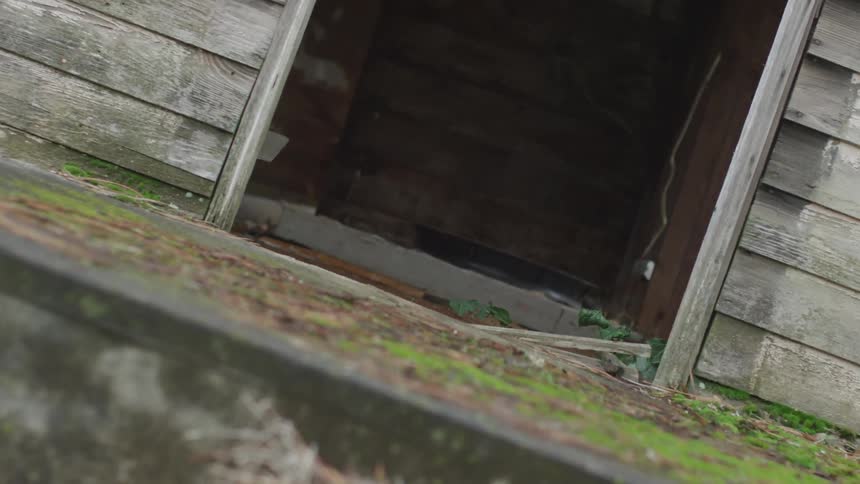 A stone step leads to an open door